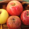 frutas verduras